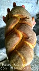 pane fatto in casa con lievito madre