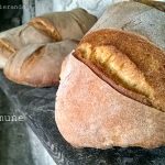Impastare il pane con il poolish o la biga